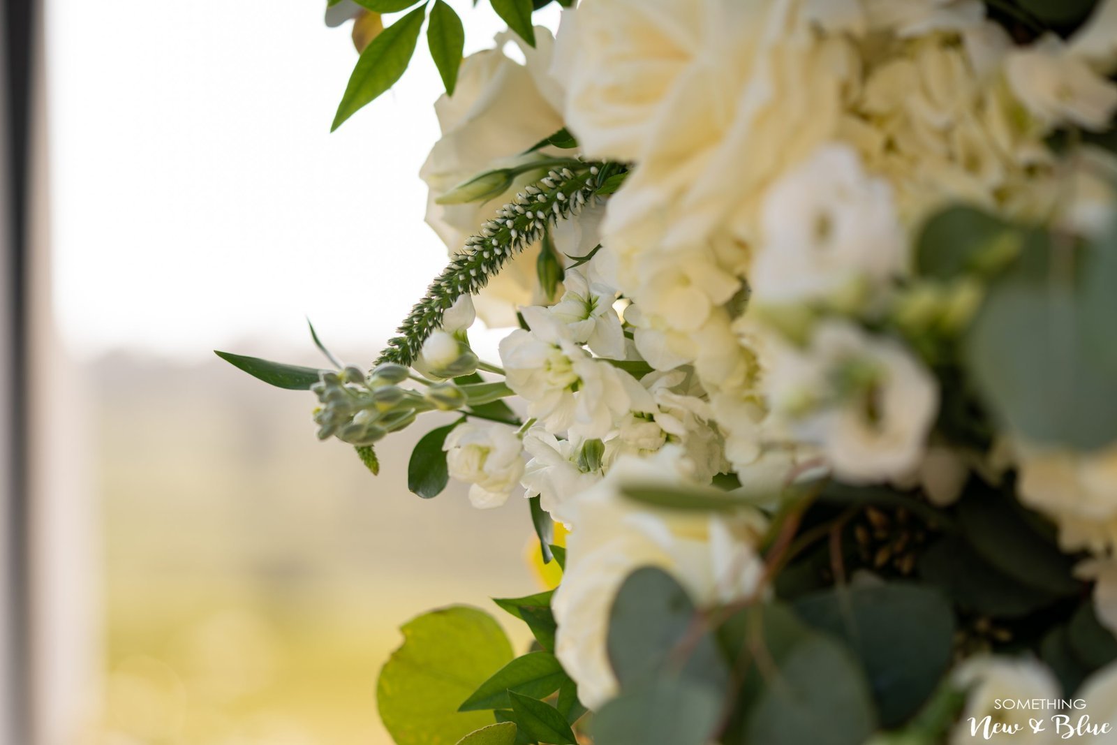 Casey + Danielle at Wedgewood Aliso Viejo