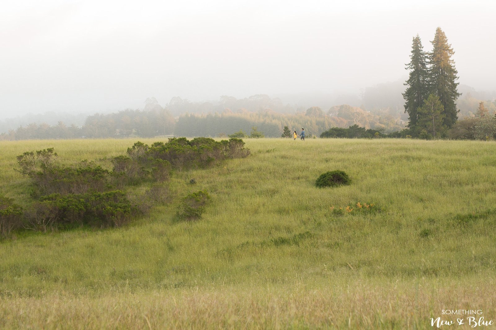 Kim + Thaison at UC Santa Cruz Engagement San Francisco